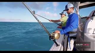 Menangkap hiu🦈 terbesar mancing ikan hiu terbesar di luar