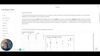 Results Section of a Scientific Report