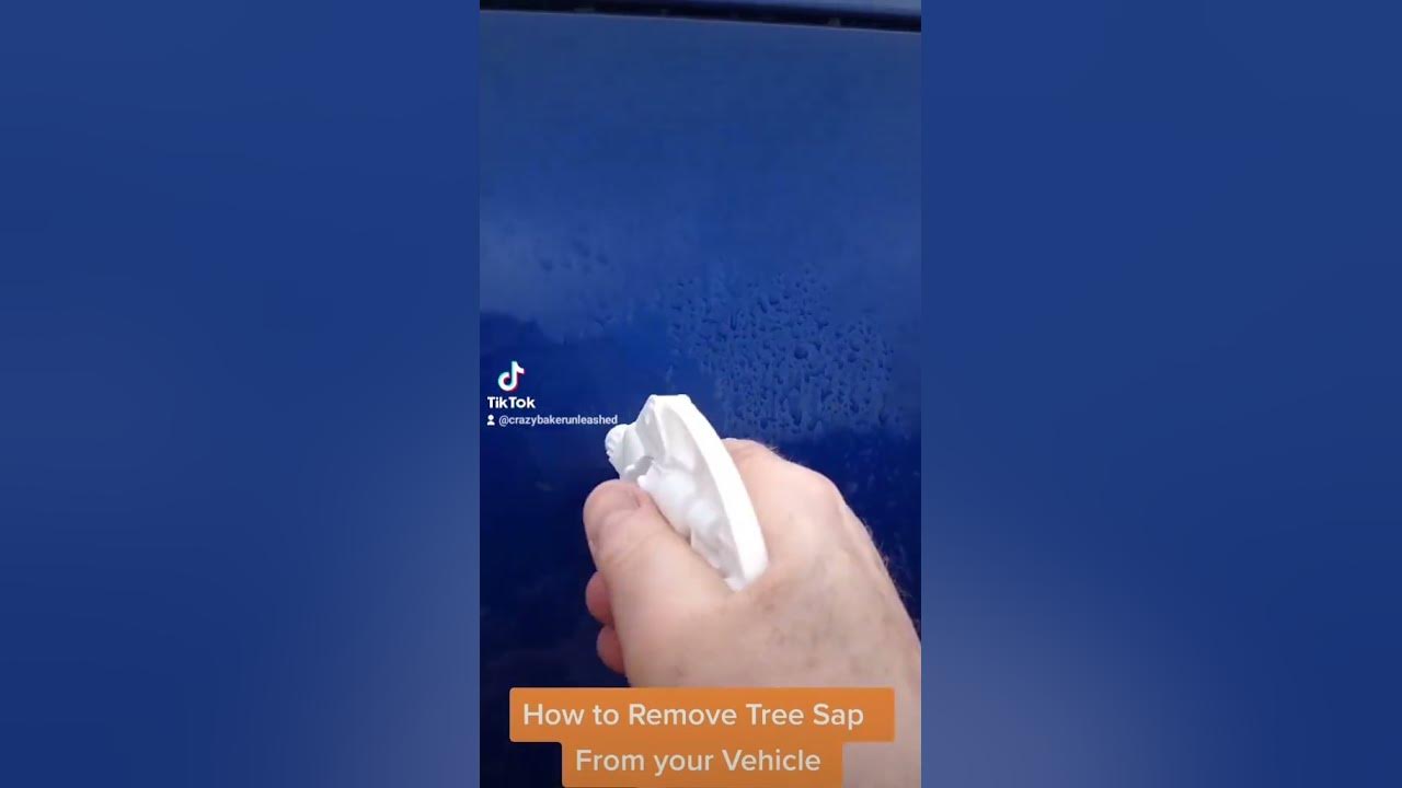 Ask DI: How to Remove Sap from Car – Ask a Pro Blog