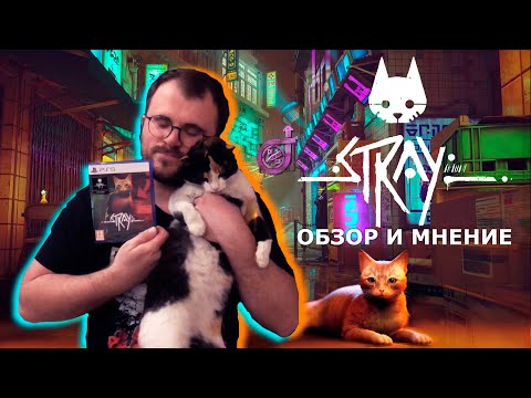 Видео: Stray. Обзор и Мнение