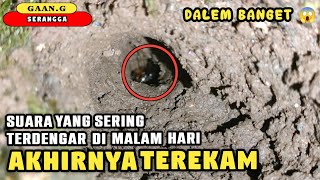 TEREKAM!! Suara Yang Sering Terdengar Di Malam Hari | GAANG