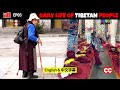 Lhasa through my eyes  the real life of tibetan people     ep03