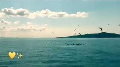 سورة فصلت آية 30-32 - اسلام صبحي