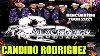 Candido Rodriguez |Alacranes Musical El Reencuentro Tour|En Vivo| 2021|