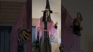 menards 10 foot witch 2023