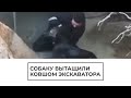 Собаку вытащили ковшом экскаватора