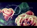 Andy Rivera - QUE TE PASO (letra)