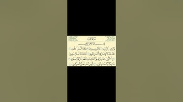 سورة التين للصف الثالث الابتدائي حفظ مع معاني الكلمات