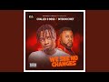 We See No Changes mp3