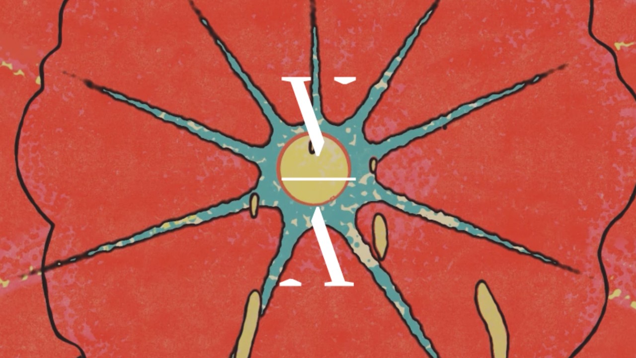 Lane 8 & Robby East - Penguin Parade