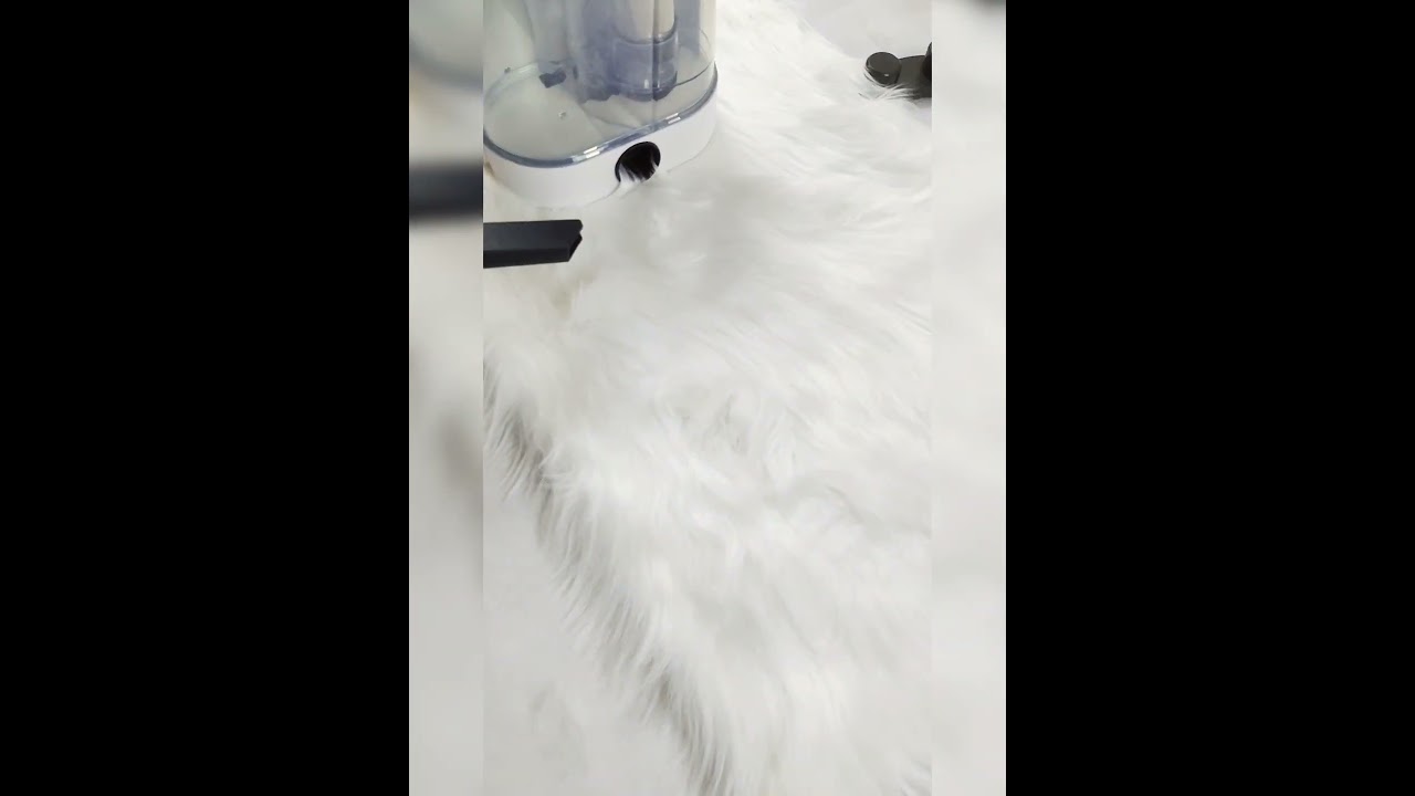Dog blow dryer for grooming Professional pet grooming dryer 