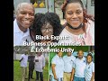 Black Expats: Business Opportunities & Economic Unity