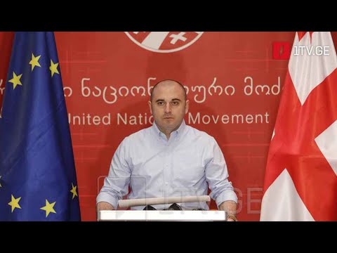 „ნაციონალური მოძრაობის“ ახალი თავმჯდომარის არჩევა - პოლიტიკური შეფასებები