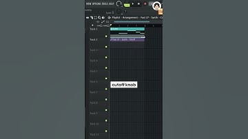 Do this for an LFO INTRO EFFECT!