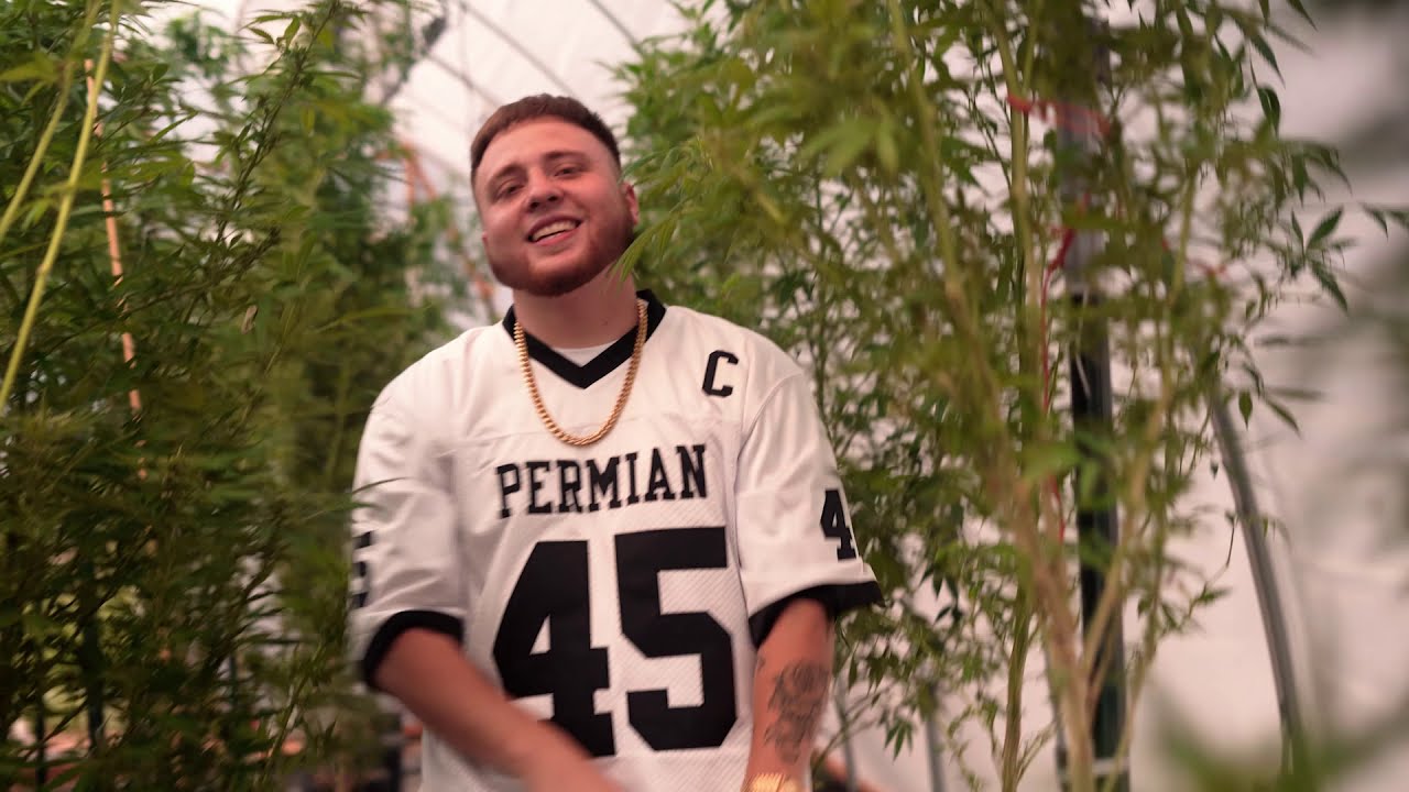 Daddy Harlow - UNO feat. Cyfë [Official Video] prod. Fantom - YouTube