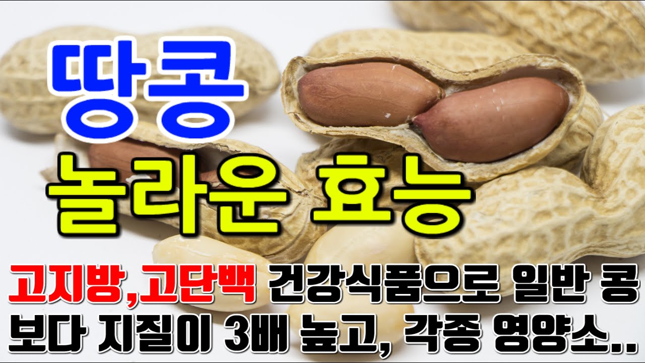 땅콩의 놀라운 효능 8가지 \u0026 부작용 / 고지방, 고단백 건강식품인 땅콩은 일반 콩보다 지질이 3배 높고, 13종의 비타민, 26종의 무기질 등 각종 영양소가 풍부..