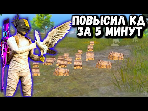 СРОЧНО!!! КАК ПОВЫСИТЬ КД в ПУБГ Мобайл | PUBG Mobile