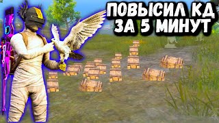 СРОЧНО!!! КАК ПОВЫСИТЬ КД в ПУБГ Мобайл | PUBG Mobile