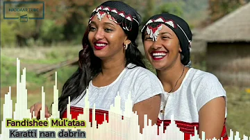 Best Oromo music 🎶 Fandishee Mul'ataa - Karatti nan dabrin 🎶 @Haddaar Tube