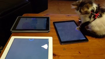 Balrog Plays with Proof of Concept Game