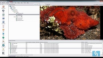 Tutorial Play Triggers