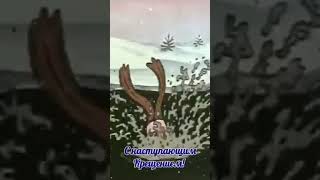 С Наступающим Крещением! Все Готовы? Прикольная Открытка С Крещением!