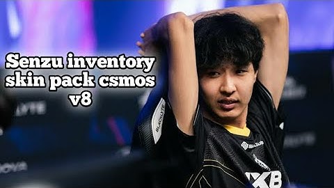 Senzu inventory skin pack - CSSO/CSMOS v8