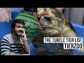 The Turtle Tier List (TierZoo) CG Reaction