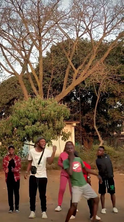 It's their crazy vibe for me😫😂🇿🇼 Tyeya Dance Challenge #amapianotypebeat2023