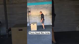 Pause Squat Box Jump