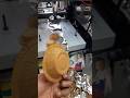 5.50 inch dona | indian small business | #shorts