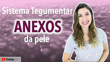 O que são os anexos da pele?