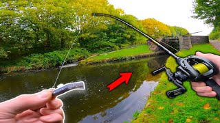 Fishing for huge PERCH after the first FROST!