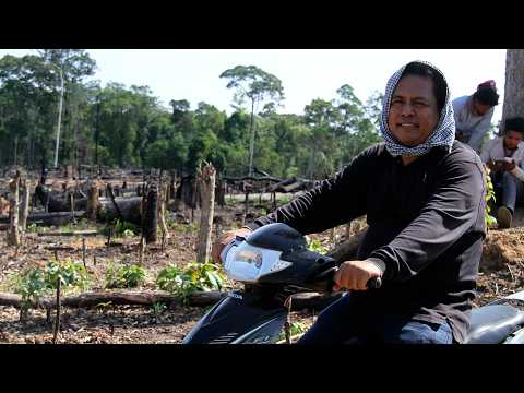 សារលិខិតរបស់លោក សេង វណ្ណលី អំពីលោកបណ្ឌិត កែម ឡី
