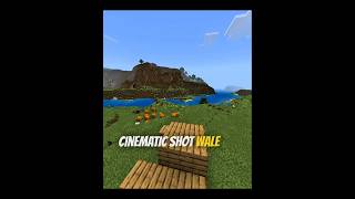 Cinematic shoot add-on in MCPE #minecraft #mcpe #mods #shorts #cinematic #modsforminecraft
