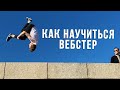 Как научиться вебстер | Webster tutorial