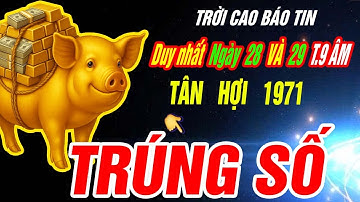 Trời định Tuổi TÂN HỢI 1971 TRÚNG SỐ ĐỘC ĐẮC CỰC GIÀU CÓ đúng 2 ngày tới Tháng 9 âm 2025