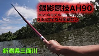 新潟県三面川　終盤の鮎釣り　銀影競技 A H90　大きな鮎も抜けます