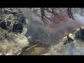 Beaver Dam removal #1 || lots of water flow