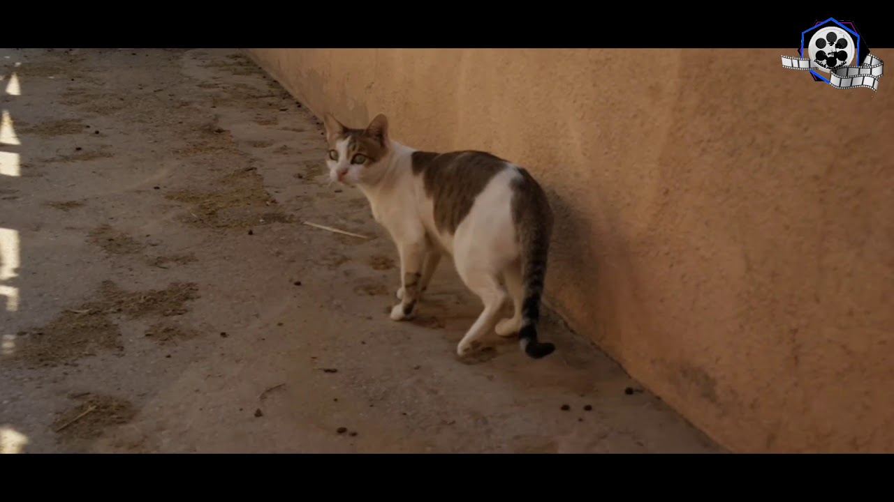 حـيـل الـغـاف .... القرية التى تسكن بين أحضان الجبال ...!!The village nestled in the mountains