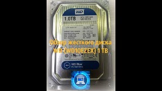 Обзор жесткого диска WD WD10EZEX 1 TB от 05.12.2018