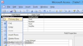 6. Ms Access 2003 Tutorials in Urdu - Making Database Tables Urdu Tutorials