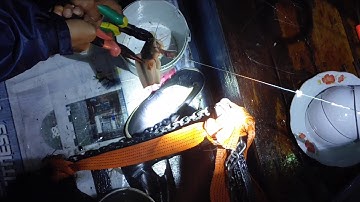 Câu cá Ngát ở cảng | Sông Nước Cần Giờ - Châu Huỳnh.