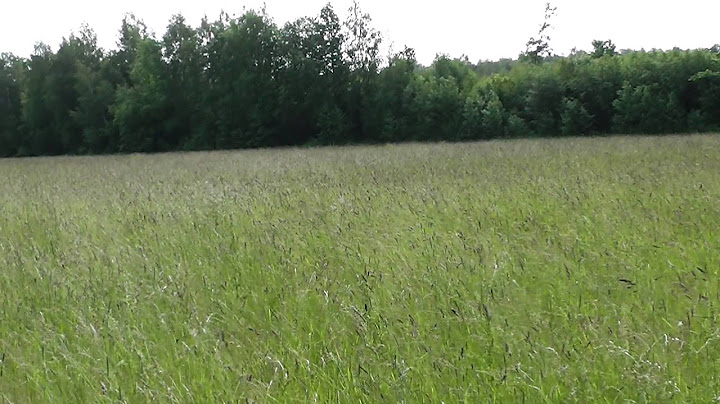Tik 5 km. nuo Šiaulių miesto, 2 ha. žemės sklypas