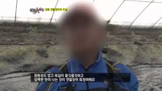 #06 민물장어보다 좋다는 강화갯벌장어?!.이영돈PD의 먹거리X파일 E33.120921