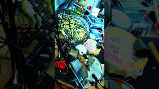 Famous algo-improvisational #drumming #percussion ‎#groove #beats #lofi #makenoise #keithmcmillen #puredata Net Worth