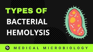 Bacterial Hemolysis | Types of hemolysis | Microbiology | by Akash Mitra