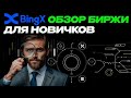 Обзор Биржи BingX Для Новичков 💙 Биржа BingX Лучший Реферальный код - PUMP69 🩵