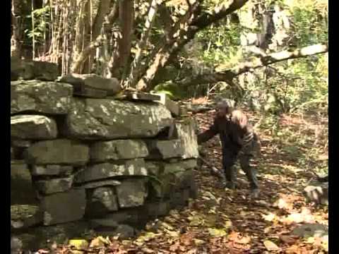 კოპალა Kopala