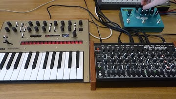 MFB Tanzbar, Korg Monologue & Strymon Big Sky